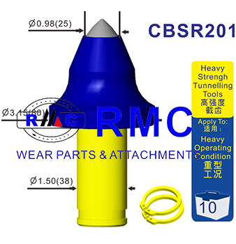 CBSR201-1